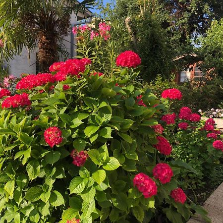 Casa Hortensia Njivice Bagian luar foto