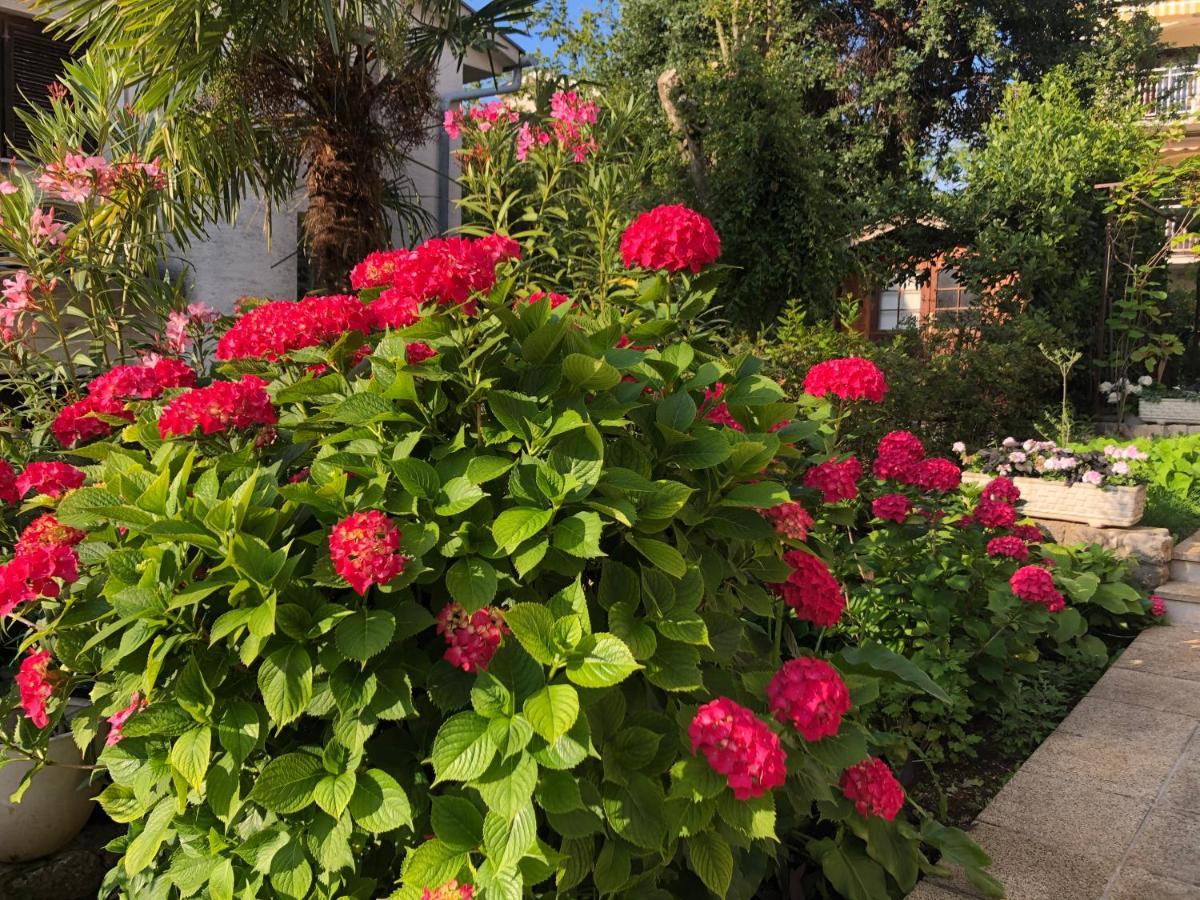 Casa Hortensia Njivice Bagian luar foto