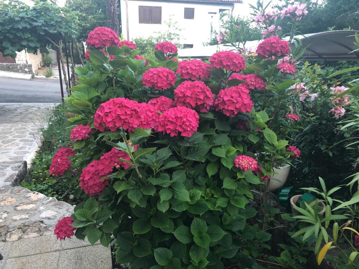 Casa Hortensia Njivice Bagian luar foto